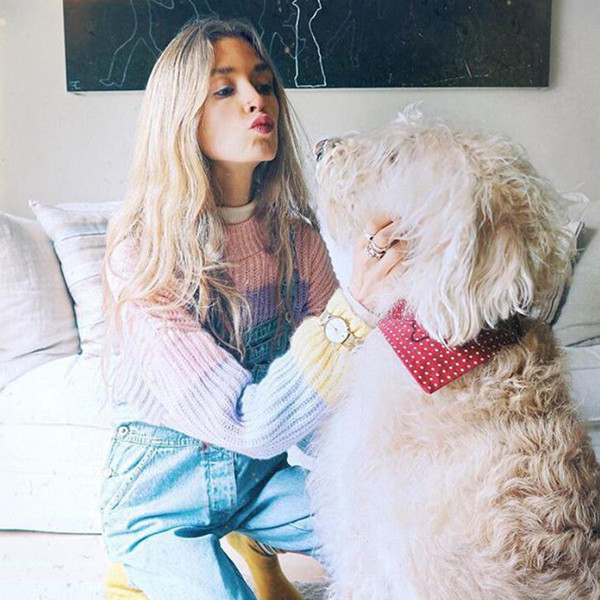 Μοντέρνα σορτς πουλόβερ κυρίες σε ρέοντα χρώματα