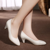 Pantofi de dama cu toc mediu inalt in doua culori