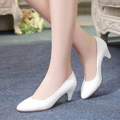 Pantofi de dama cu toc mediu inalt in doua culori