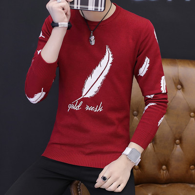 Модерен мъжки пуловер с О-образно деколте и цветна бродерия в няколко цвята