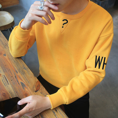 Спортно-ежедневна мъжка блуза в няколко цвята