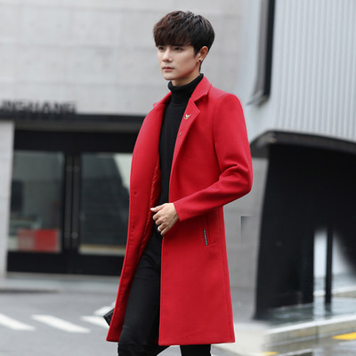 Мъжко стилно дълго палто в няколко цвята - два модела