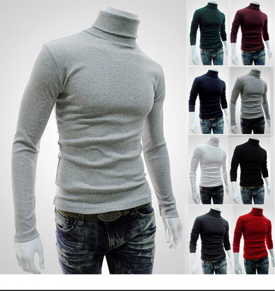 Plain model men`s sweater with a high collar in several colors