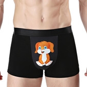 Lenjerie bărbătească din bumbac cu aplicație - șase culori