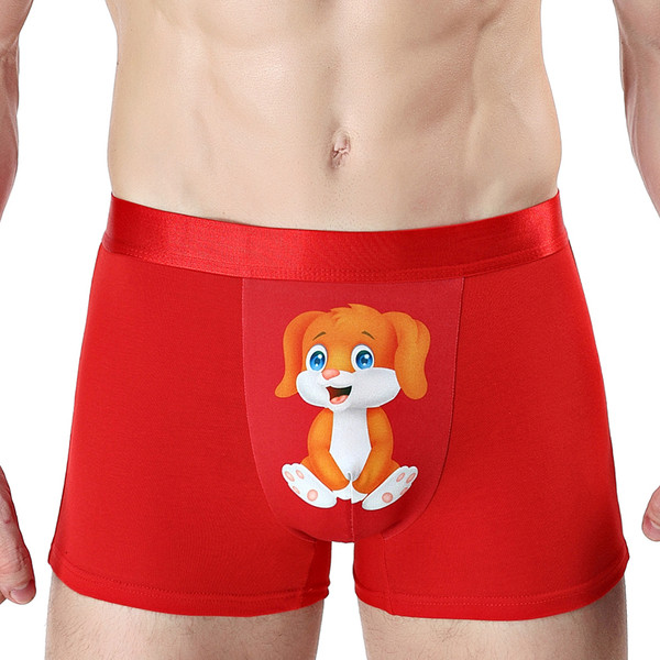 Lenjerie bărbătească din bumbac cu aplicație - șase culori