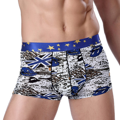 Модерно мъжко бельо с апликация - различни модели