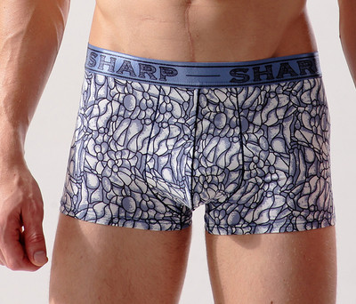 Комфортно мъжко бельо с апликация - различни модели