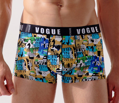 Комфортно мъжко бельо с апликация - различни модели