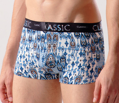 Комфортно мъжко бельо с апликация - различни модели