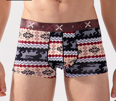 Комфортно мъжко бельо с апликация - различни модели