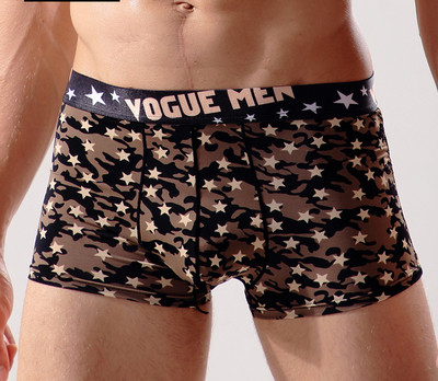 Комфортно мъжко бельо с апликация - различни модели