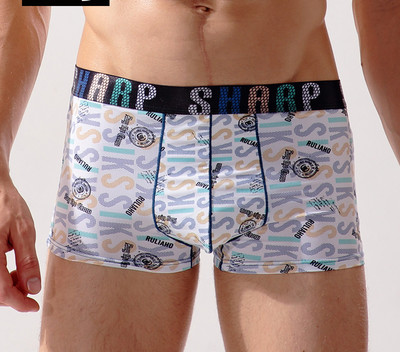 Комфортно мъжко бельо с апликация - различни модели