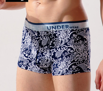 Комфортно мъжко бельо с апликация - различни модели