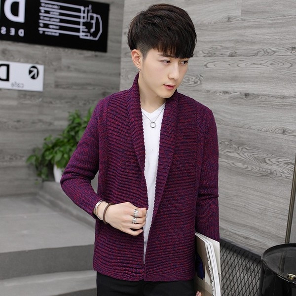 Плътна мъжка жилетка в няколко цвята