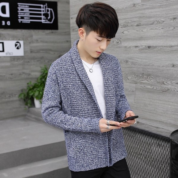 Плътна мъжка жилетка в няколко цвята