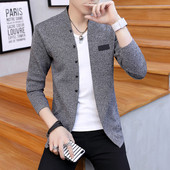 Тънка мъжка жилетка в два цвята