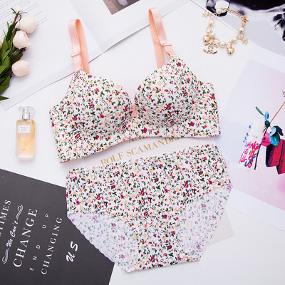 Set lenjerie sutien și bikini în diferite modele