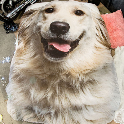 Ново модерно 3D одеяло с куче - различни модели