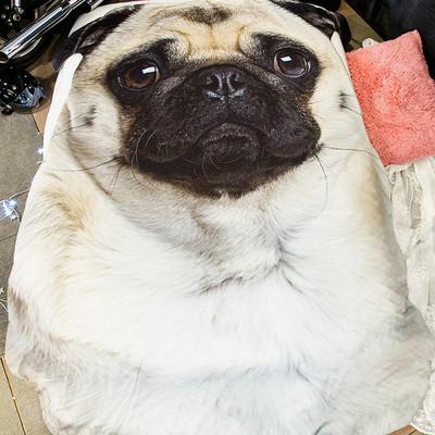 Új modern 3D takaró kutyával - különböző modellek