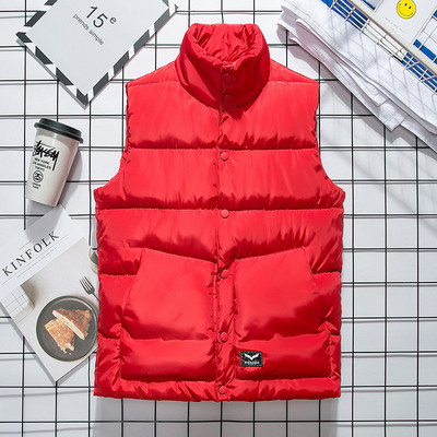 Ανδρικό αθλητικό-κομψό γιλέκο με ψηλό γιακά σε τέσσερα χρώματα