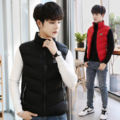 Μοντέρνο ανδρικό αθλητικό γιλέκο με ψηλό γιακά σε τέσσερα χρώματα