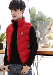 Μοντέρνο ανδρικό αθλητικό γιλέκο με ψηλό γιακά σε τέσσερα χρώματα