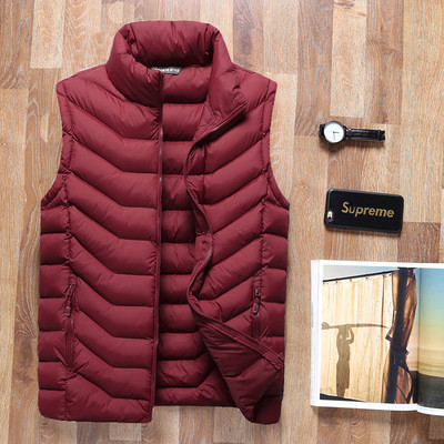 Мъжки елек с висока яка в няколко цвята