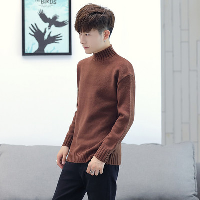 Ανδρικό καθημερινό πουλόςερ με ψηλό κολάρο  σε διάφορα χρώματα