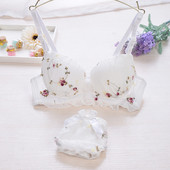 Σετ εσώρουχο με κεντήματα - πέντε χρώματα