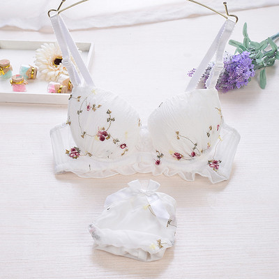 Σετ εσώρουχο με κεντήματα - πέντε χρώματα