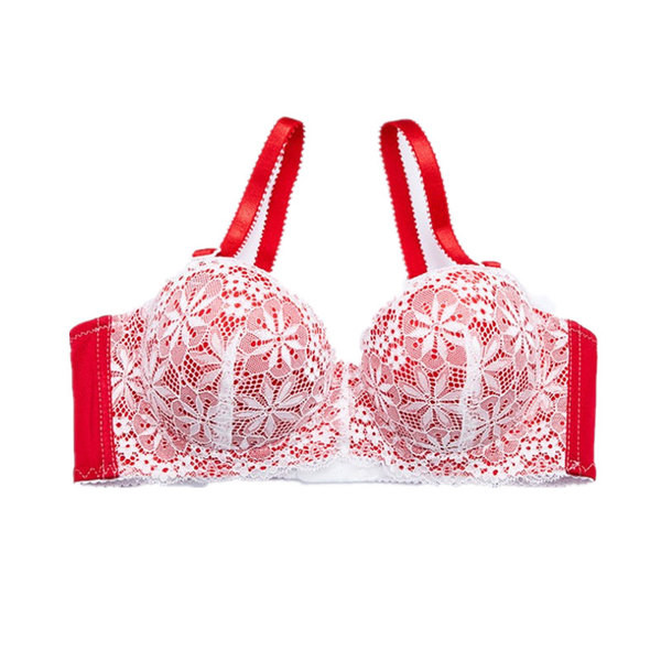 Σύνολο εσώρουχου γυναικείο με λευκή δαντέλα - τέσσερα χρώματα