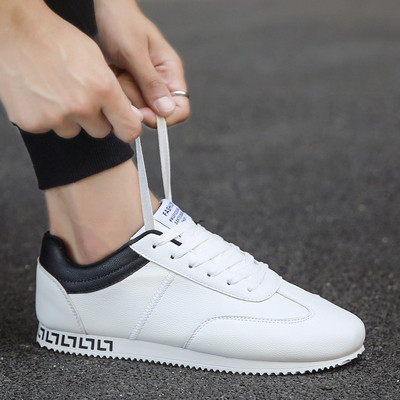 Adidași bărbați stilați în mai multe culori - două modele