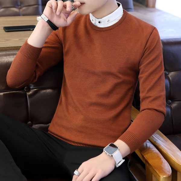 Мъжка плътна блуза в няколко цвята