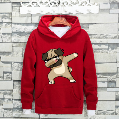 Ανδρικό φούτερ σε διάφορα χρώματα με πολύχρωμη εκτύπωση