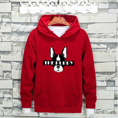 Ανδρικό φούτερ σε διάφορα χρώματα με πολύχρωμη εκτύπωση