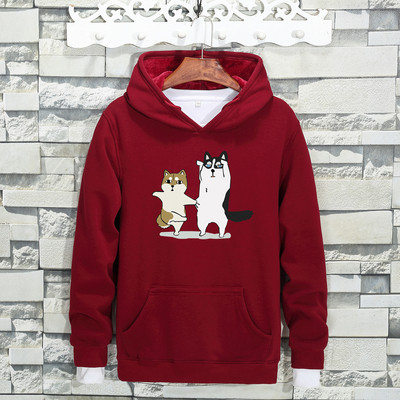 Ανδρικό φούτερ σε διάφορα χρώματα με πολύχρωμη εκτύπωση