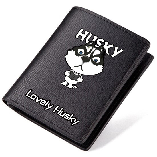 Portofel zilnic pentru bărbați cu aplicare de culoare în două mărimi