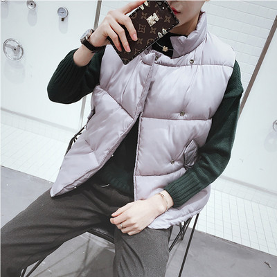 Актуален мъжки елек в няколко цвята 