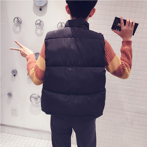 Актуален мъжки елек в няколко цвята 