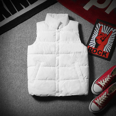 Vesta masculina actuala in cinci culori