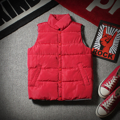 Vesta masculina actuala in cinci culori