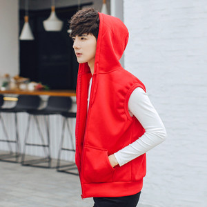 Мъжки изчистен спортен елек в няколко цвята