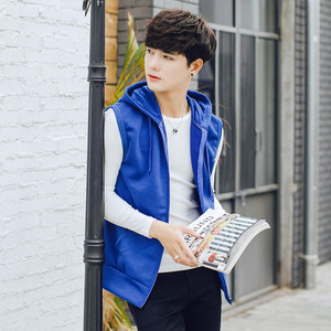 Мъжки изчистен спортен елек в няколко цвята