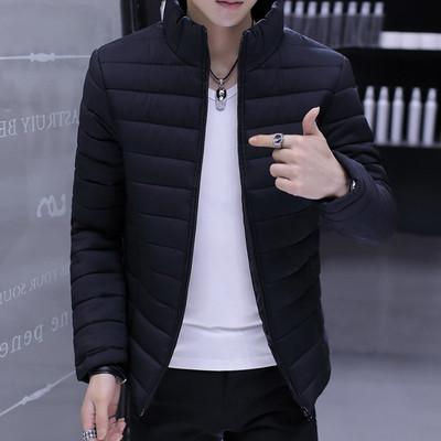 Ежедневно мъжко зимно яке в три цвята