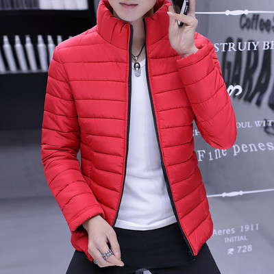 Ежедневно мъжко зимно яке в три цвята