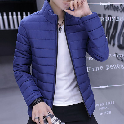 Ежедневно мъжко зимно яке в три цвята