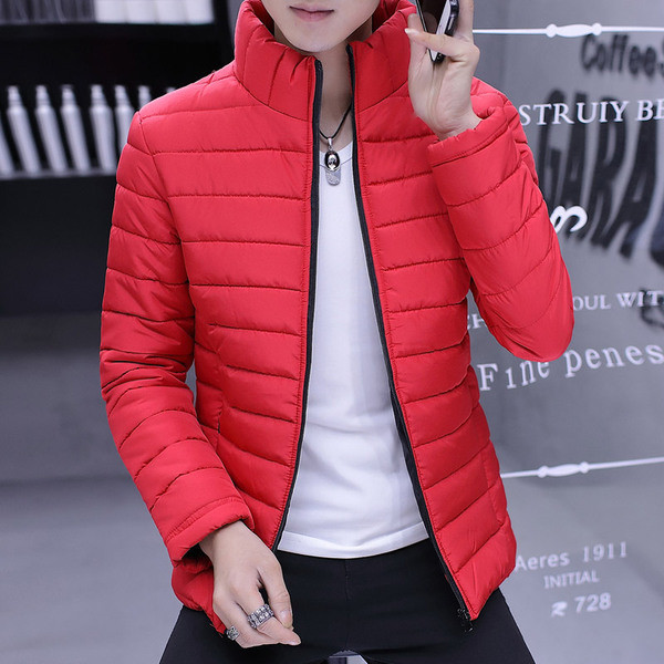 Ежедневно мъжко зимно яке в три цвята