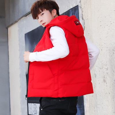 Мъжки елек в два модела и в няколко цвята