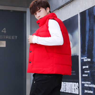 Мъжки елек в два модела и в няколко цвята