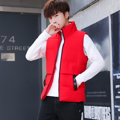 Мъжки елек в два модела и в няколко цвята